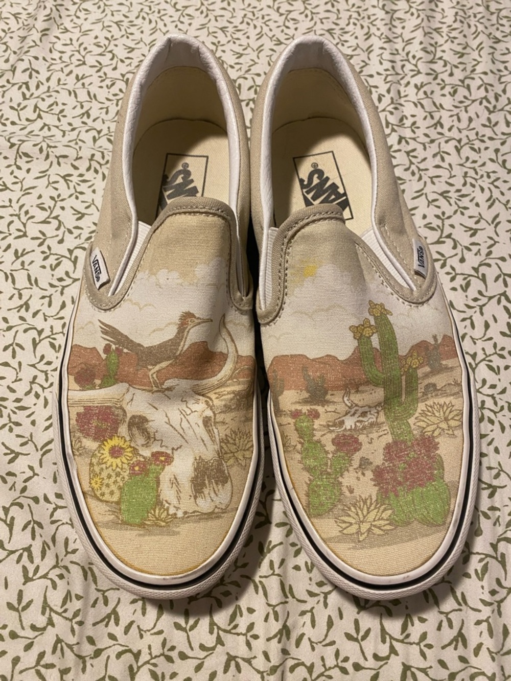 Vans Desert Cactus Slip-On Sneakers